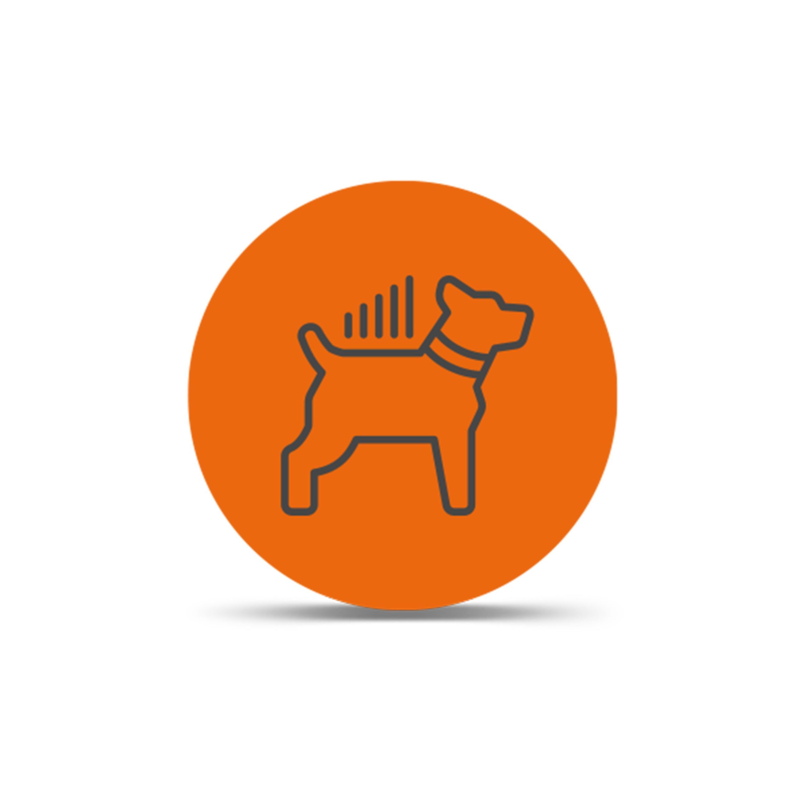 Lte Dog Tracking Plans - Annual